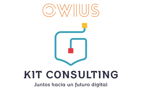 paso a paso para obtener la subvención del Kit Consulting con Owius