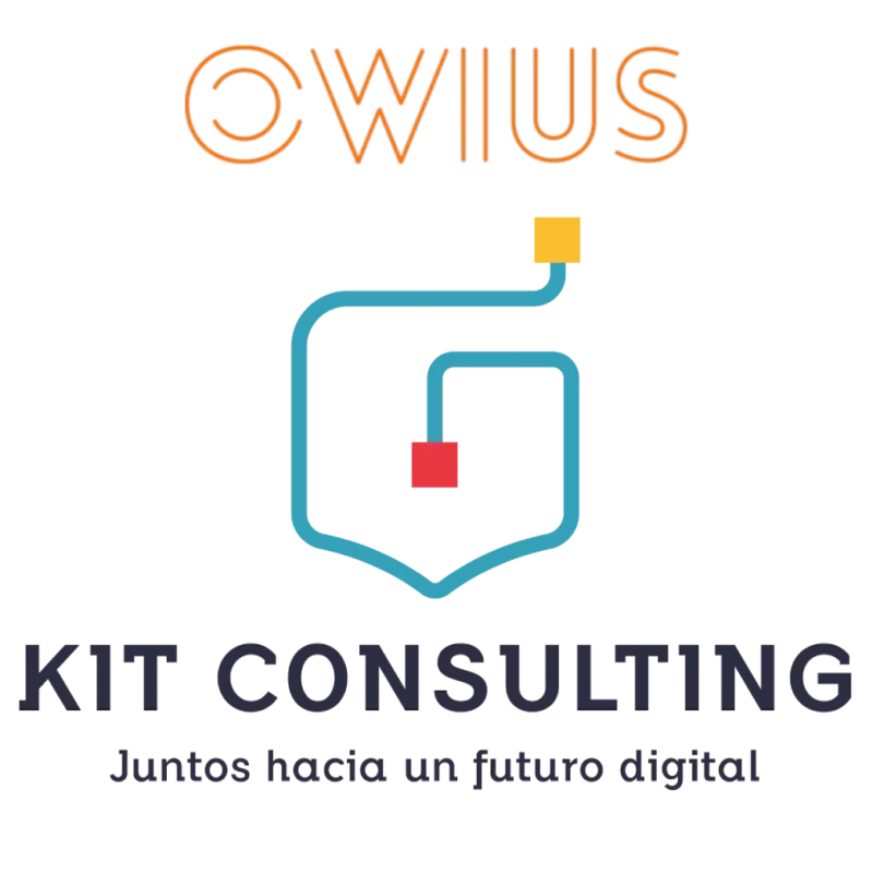 paso a paso para obtener la subvención del Kit Consulting con Owius