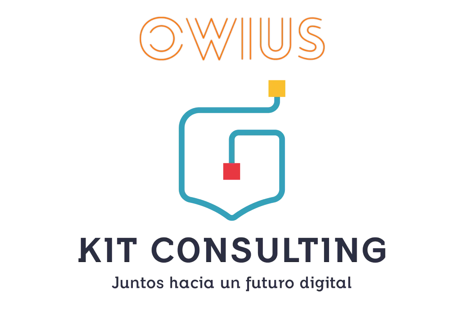 Paso a paso para obtener la subvención Kit Consulting