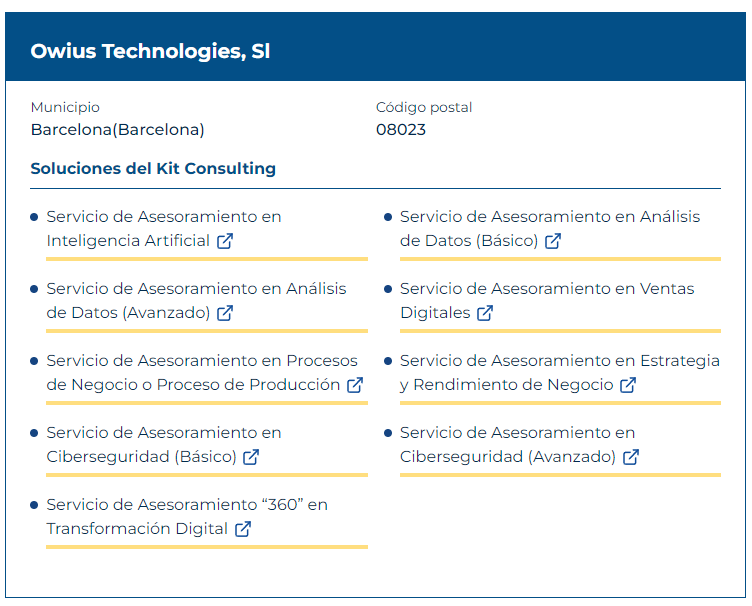 Owius asesor digital del programa Kit Consulting